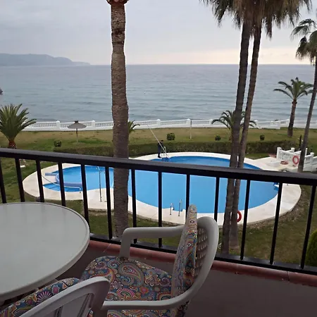 Palmeras 43 Menyber * 네르하