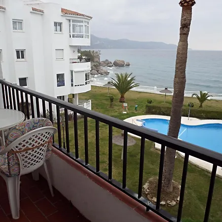 Palmeras 43 Menyber